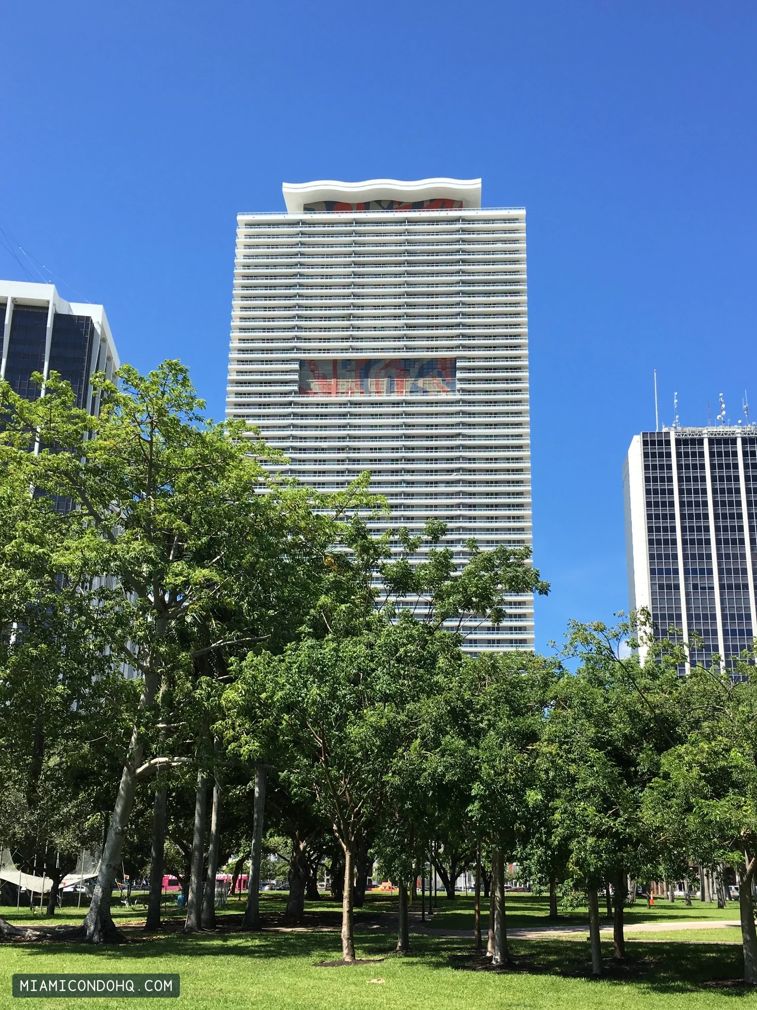 50 Biscayne above the trees of Bayfront Park, photographed October 3, 2016.